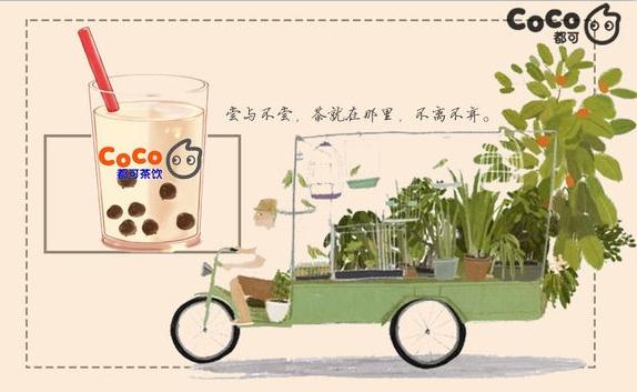 coco奶茶加盟